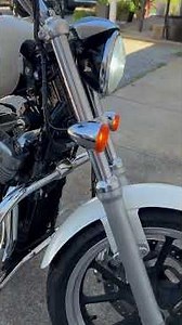 2016 Harley Davidson XL883L Superlow with DK Customs Thunder Torque Inserts installed.