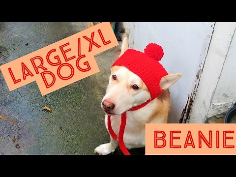 How to Crochet a Large/XL Dog Beanie