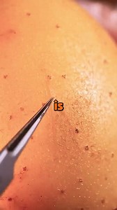 #reddit #redditstories #redditreadings #askreddit | Science Simplified