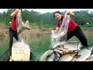 Girl's net casting skills: Catching a lot of fish in rivers and lakes, traditional fishing.