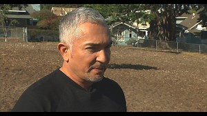 Dog whisperer Cesar Millan will not face animal cruelty charges