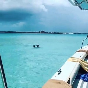 3.5K views · 230 reactions | Exuma, Bahamas is paradise   Exumawatersports | MetDaan Adventure | Facebook