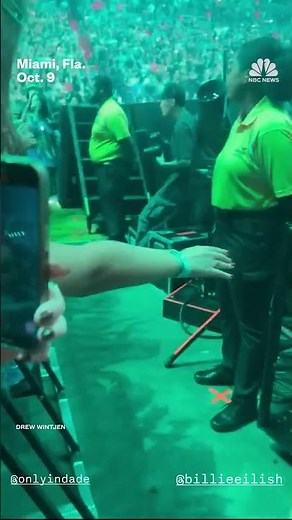 Billie Eilish violently pulled into crowd at concert