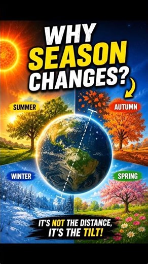 Why does Earth have different seasons? 🌍☀️❄️
