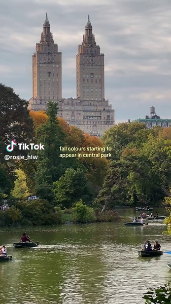 Fall in NYC: When to Visit Central Park for Peak Colors