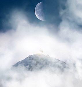 wildalps_DominiqueWeiss_Mountain'sManifest_Macun_galleryversion