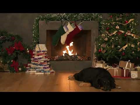 Harlequin Holiday Yule Log