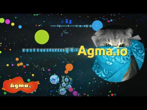 The Agma.io perfectionists | Toms X Dymasi
