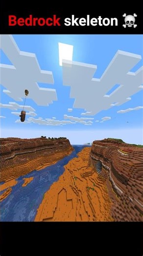 Java skeleton🌹 vs Bedrock skeleton💀 #minecraft