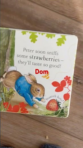 ￼ Peter ￼ rabbit ￼ book ￼