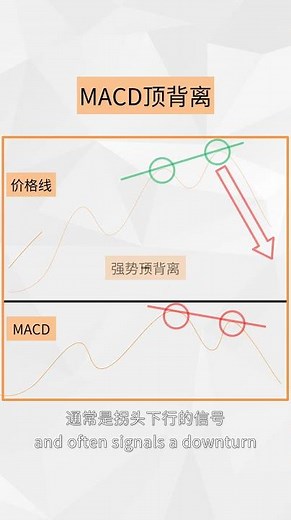 【交易必修课】07：MACD顶背离 (Bearish Divergence) | 30秒识别K线顶部信号 #shorts #MACD #MACD背离 #技术分析 #指标 #交易信号 #反转形态