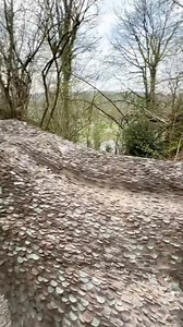 466K views · 2.8K reactions | The Scottish Coin Tree: Wishes and Luck Through Centuries #CoinTree #ScottishTradition #WishingTree #Folklore #GoodLuckCharm | Satisfying Videos | Facebook