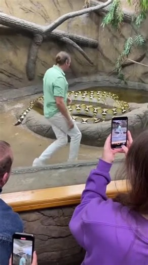 He’s dancing with a snake #snake #animals #zoo #viral #fyp