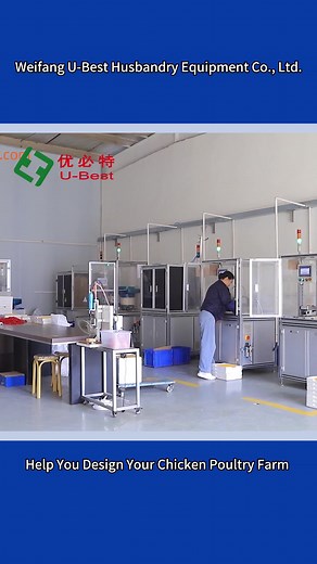 Check out this amazing behind-the-scenes look at chicken feeding and drinking production! 🐔🌾 #chickenfarm #FarmLife #BehindTheScenes