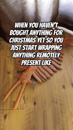 I stole this meme for shrimpmas #anomalocaris #shrimp #memes #funny #christmas #music