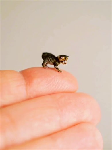 The Smallest Kitten You'll Ever See! 🐱 #Tinykitten #AdorableAnimals #KittenLove #cat #fyp #trending #catsoftiktok #cattok