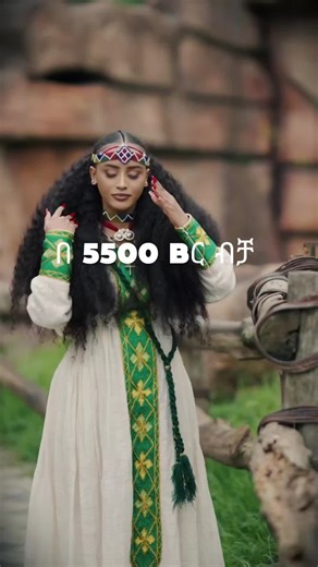 Sam design on TikTok