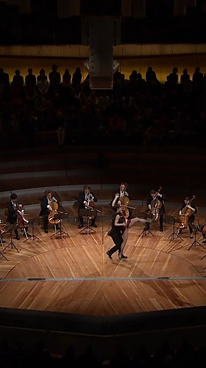 Berliner Philharmoniker on Instagram: "💃🎶 It takes twelve to tango! In 2015, the 12 Cellists of the Berliner Philharmoniker performed Piazzolla's famous Libertango. Watch the whole concert in the Digital Concert Hall! #BerlinPhil #DigitalConcertHall #12CellistsoftheBerlinerPhilharmoniker #Cello #Piazzolla #Tango"