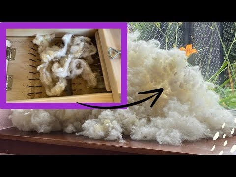 How to use a box picker to Get veggie matter out of wool with amazing results!