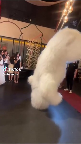 Excision and Crankdat Take Over Lost Lands Festival