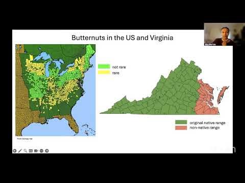 Science Night!: Virtual Talks from Blandy Environmental Science Graduate Students