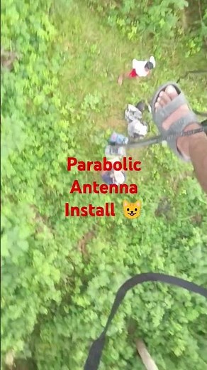 Parabolic antenna installed