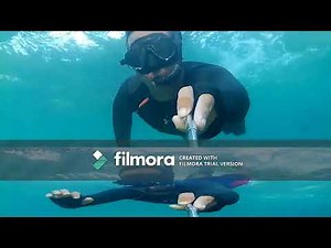 WONDERFULL PARI ISLAND ( SNORKLING AND FREE DIVE )