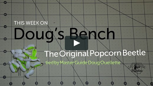 Doug's Bench - Episode 1: The Original Popcorn Beetle
