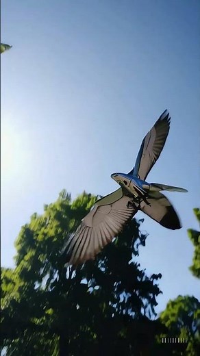 Graceful Robotic Bird Flight #robot
