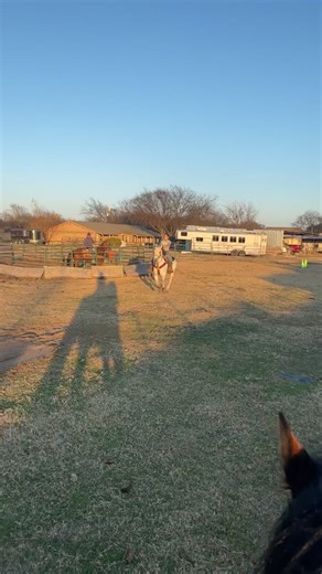 Another good punta on tordillo #escaramuza #punta #fyp #foryou #foryoupage