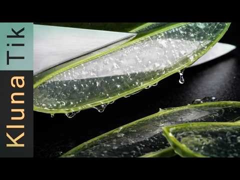 ASMR For Your Eyes 01