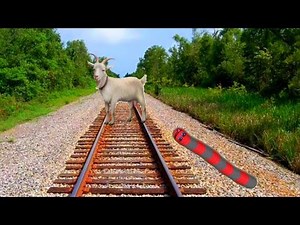 Zona Cacing Di Dunia Nyata - Rail Road Train #5