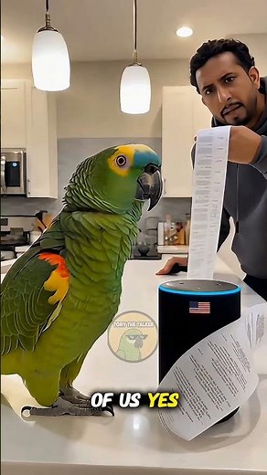 Talking Parrot Orders EVERYTHING on Alexa… Huge Shopping Disaster! 😂🦜
