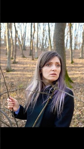 The Bear from the Lizard Forest 🐻