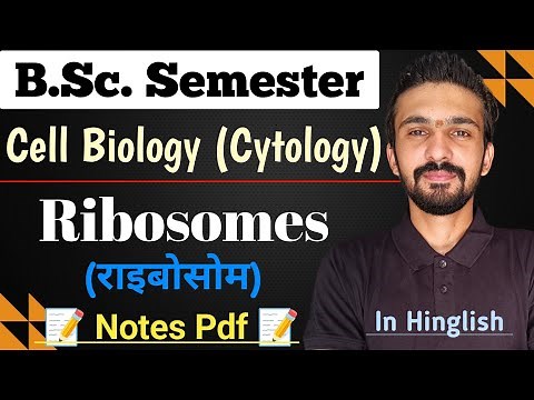 Ribosomes Structure And Function || Bsc Semester || Cell Biology || By Dadhich Sir