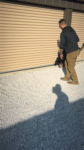 First day at the storage lockers. | Canine Deployed