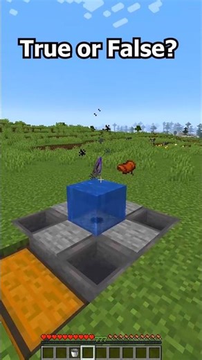 Minecraft INFINITE Loot Glitch😱