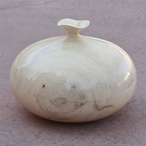 Robert Gray original fine art selection at the Broadmoor Galleries