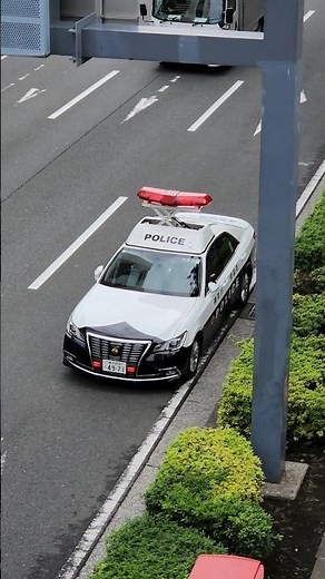 音声拾い 危ないぞ 警察２４時 密着 最前線 パトカー 横浜