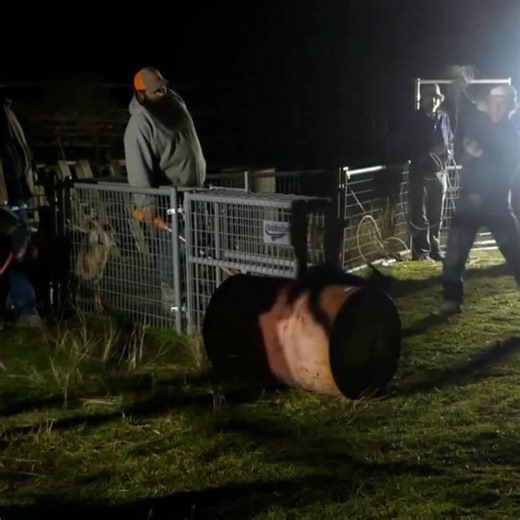 1.6K views · 12 shares | Join us tomorrow at 7 PM for an evening of goat roping and community fellowship!  All skill levels are welcome—whether you’re looking to learn something new or sharpen your technique, we’d love to have you join us. No membership required and no sign-up needed. If minors will be participating, a parent or guardian must complete a release form upon arrival. Come out, have fun, and be part of a great night! | Hubbard Cowboy Church | Facebook