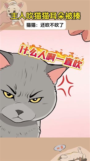 Cat Cat Did you learn a lesson#kitten#Healing#Draw a story#Cute pets