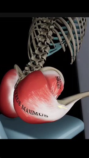 3.3K views · 31 reactions | Understand seated hip abduction exercise #fblifestyle | Azra Fitness | Facebook