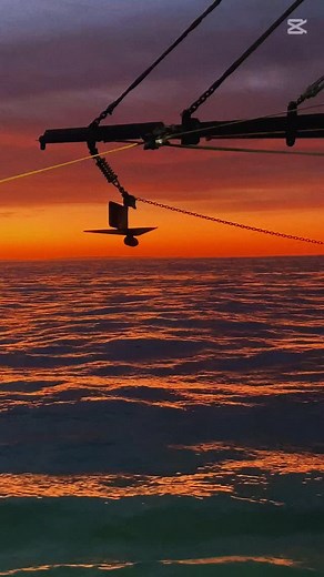 Caught fresh, cooked at sea, chilled in brine and snap frozen for that just-caught flavour 🦐 Of course we had to taste a few… you know, for quality control. 😉 @brandsouthaus @southaussiewithcosi @australianwildprawns @australianprawns | Lukin Wild Caught King Prawns