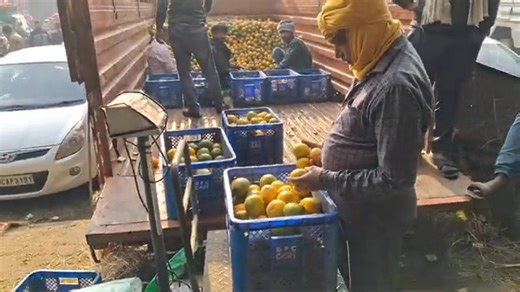 November 24, 2025 सभी फलों के भाव today fruit market price APMC delhi fruit market #fruitmarket | Delhi Fruit Market