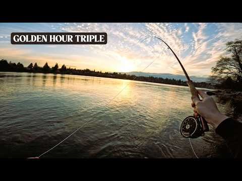 Searun Cutthroat | Fly Fishing | Using the Basics at Golden Hour