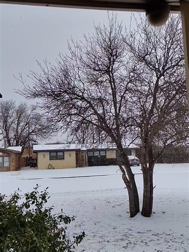 Snow in Texas: Unusual Weather Event