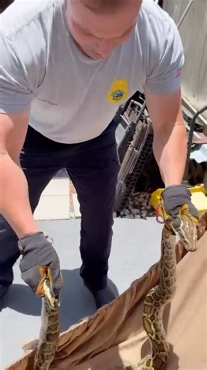 10K views · 207 reactions | Check out Miami-Dade Fire Rescue (#MDFR)...