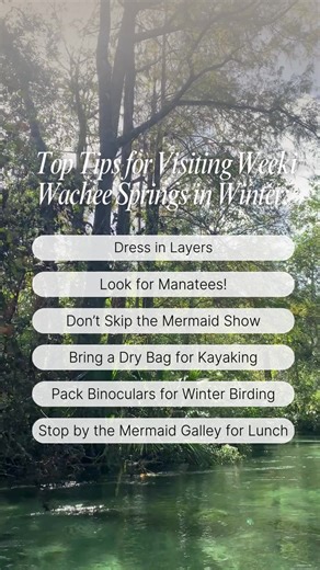 Weeki Wachee in winter? Absolutely. Fewer crowds, manatee sightings, and crystal-clear springs, plus a warm lunch at the Mermaid Galley to top it all off 🍔❄️🧜‍♀️ Pro tip: Unlike peak summer, winter days at Weeki Wachee are often less crowded, so you don’t have to rush. Take your time, enjoy a late-morning paddle, catch an afternoon mermaid show, and grab lunch without the lines. #WinterAtWeeki #MermaidSeason #FloridaSpringsAdventure