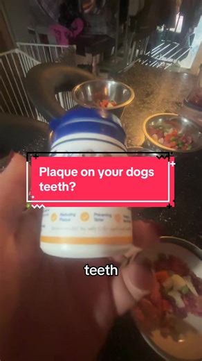 Instead of brushing your dogs teeth with a toothbrush and getting in a right old state with it, you can just get this plaque off powder which does the job and saves a lot of hassle