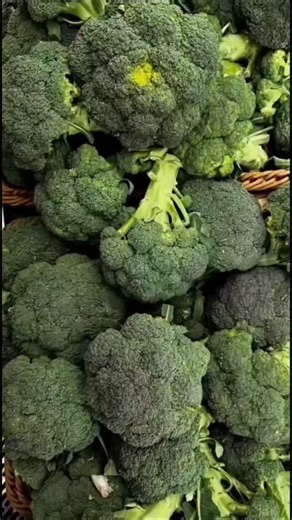 Quiz Eye on Instagram: "गोभी खाने वालों सावधान हो जाओ Follow 👉 @quizeye . . सेहत, ब्यूटी, योगा, फिटनेस और लाइफस्टाइल से जुड़ी तमाम जानकारियों को रोजाना पढ़ने के लिए अभी हमें फॉलो करें… @quizeye . . Follow 👉 @quizeye Follow 👉 @quizeye ------------------------------------------------------- ☑️ Credit~ Respected Owner ✅ Pic is used only for educational purpose only ☑️ DM For Credit / Removel ------------------------------------------------------- Note - पोस्ट में दी गयी टिप्स और सलाह केवल आम जान